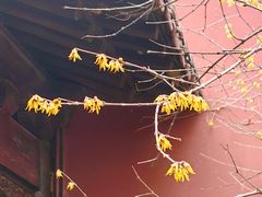 -钱王祠