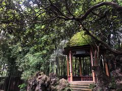 -望江楼公园