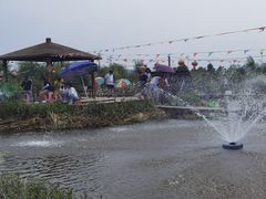 -同銮特种养殖场·龙虾垂钓