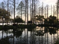 -浙江西子宾馆·瑶园咖啡厅