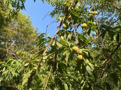 -敬亭山风景名胜区