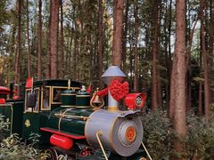 -上海共青森林公园