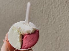 -Dip in Gelato(富民路店)