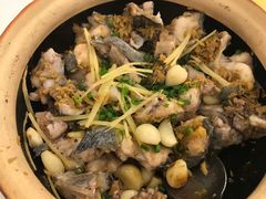 钳鱼砂锅-围龙屋客家食府(福田店)