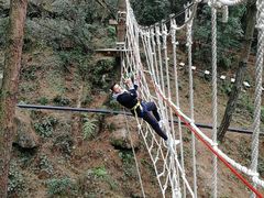-梦幻奥陶纪景区