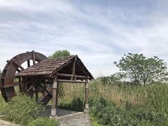 -同里国家湿地公园