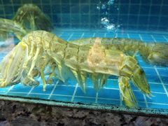 -海味世家·家常菜馆(明州里店)