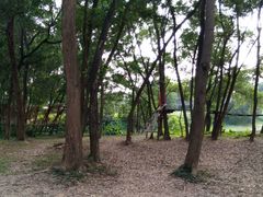 -观澜湖高尔夫球会