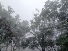 -老秃顶草原景区