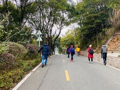 -神光山国家森林公园