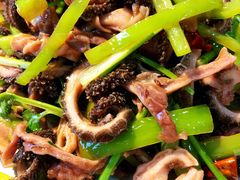 -正宗流钟锅子饼家常菜