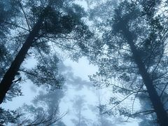 -瓦屋山景区