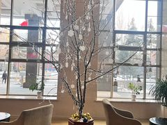 -牡丹江世茂假日酒店
