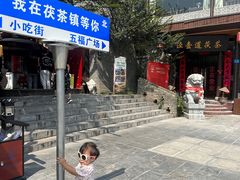 -茯茶镇