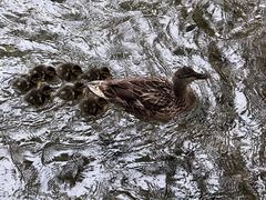 -水磨沟公园