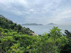 -东极岛景区