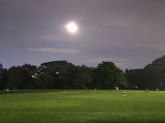 -荔香公园