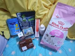 -菲丽丝宠物医院·24小时·猫科中心·免疫点(淮海分院)