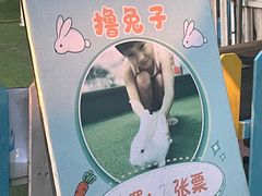 -麻涌飞鸭开心农场