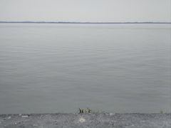 -观潮胜地公园