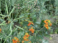 -中国天府农业博览园