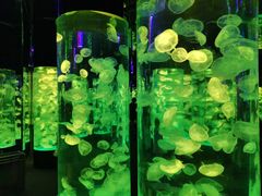 -成都浩海立方海洋公园