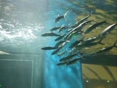 -常州海昌海洋探索馆