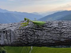 -龙脊梯田