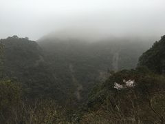 -宁波五龙潭景区