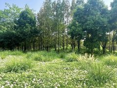-两河城市森林公园
