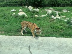 -西安秦岭野生动物园