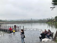 -枫香湖儿童公园