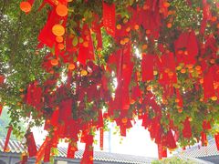 -佛山市祖庙博物馆