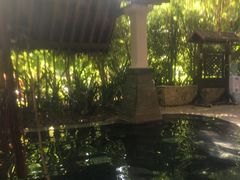 -颐和澜悦欢乐水世界(原颐和温泉城)
