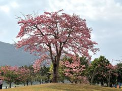 -风云岭森林公园