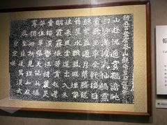-烟台市博物馆
