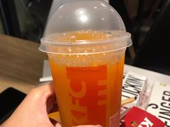 九珍果汁饮料TN-肯德基(巴沟店)