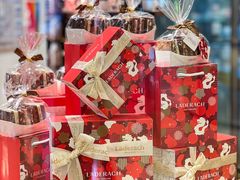 -Laderach 莱德拉(上海环贸iapm店)