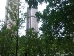 -大望京公园