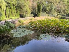 -棒棰岛宾馆景区