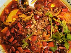 -贝贝龙虾·音乐餐厅(昌平东关店)