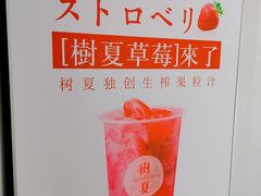 -树夏(鹭洲里店)