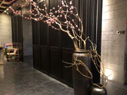 -盘子女人坊古装写真摄影(深圳店)