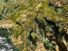 -华蓥山天意谷景区