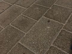 -迪拜水族馆及水下动物园