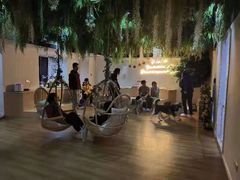 -Husky Go! 哈士奇体验馆·宠物咖啡厅狗咖