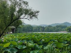 -承德避暑山庄景区