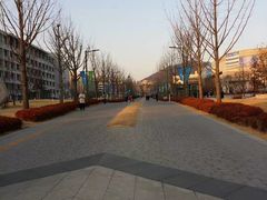 -青岛东方影都融创水世界