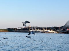 -巧克力渔家.小船海鲜胶东菜(万平口店)