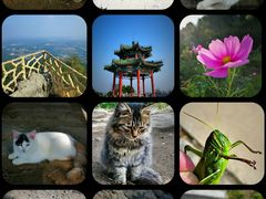 -北京西山国家森林公园